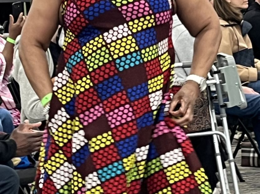 Celebrate Africa 2026